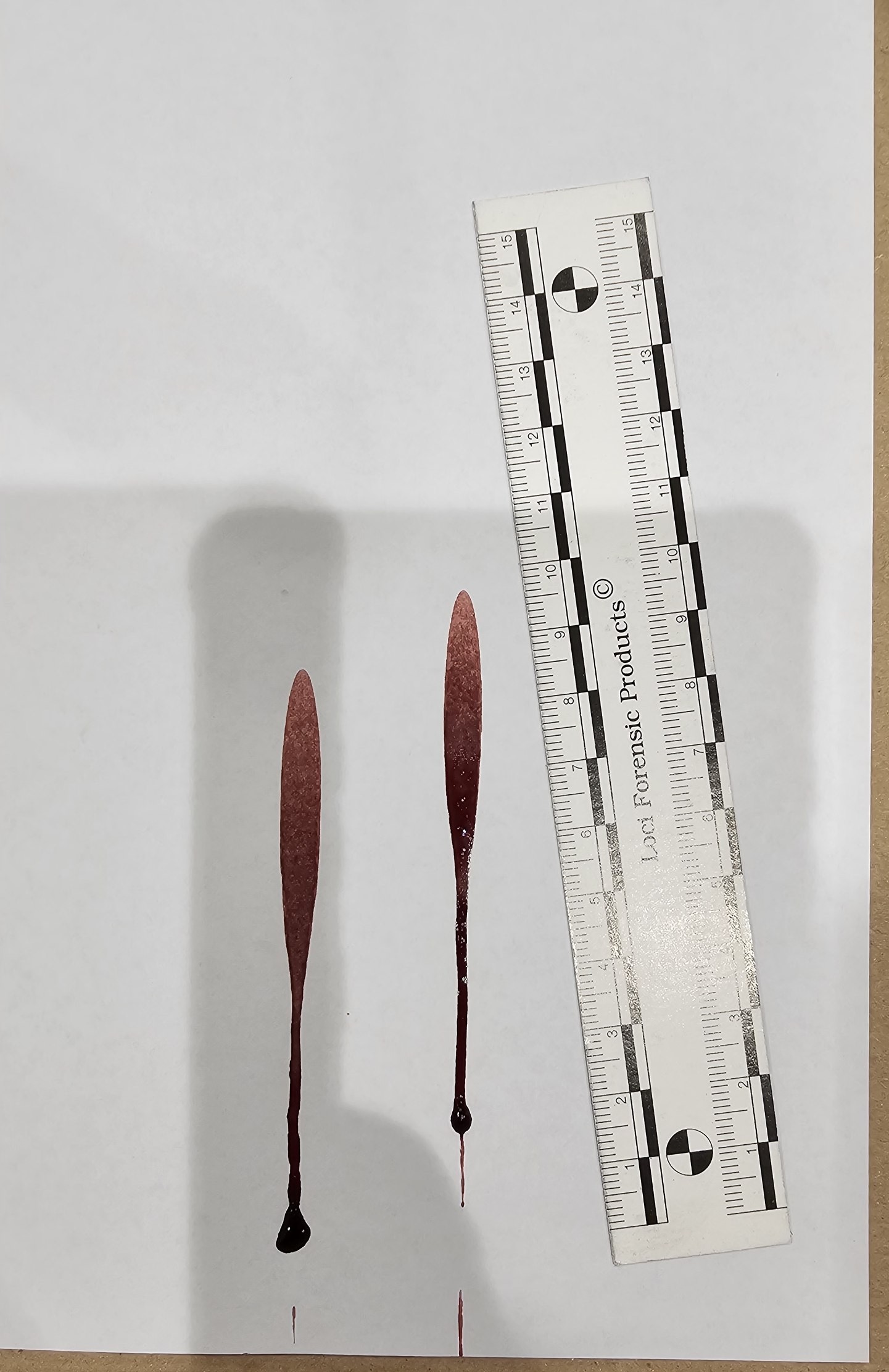 photo 2026 09 28 13 36 37
