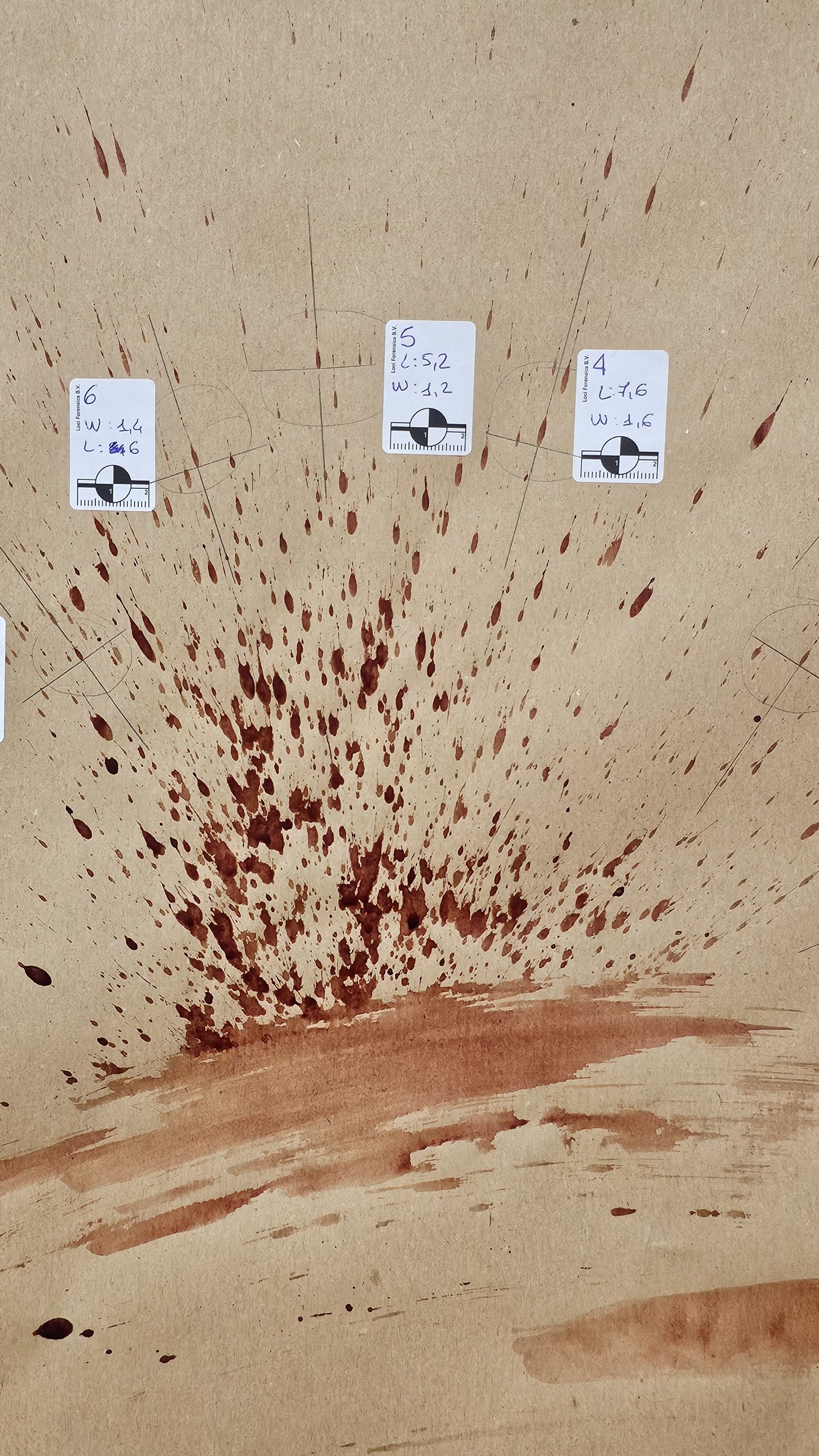 photo 2026 09 28 13 37 04