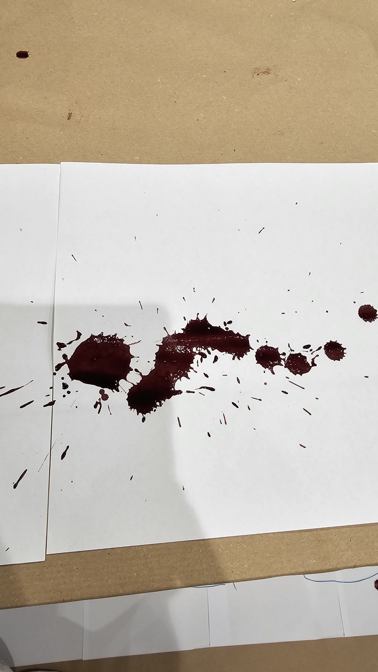 photo 2026 09 28 13 37 32