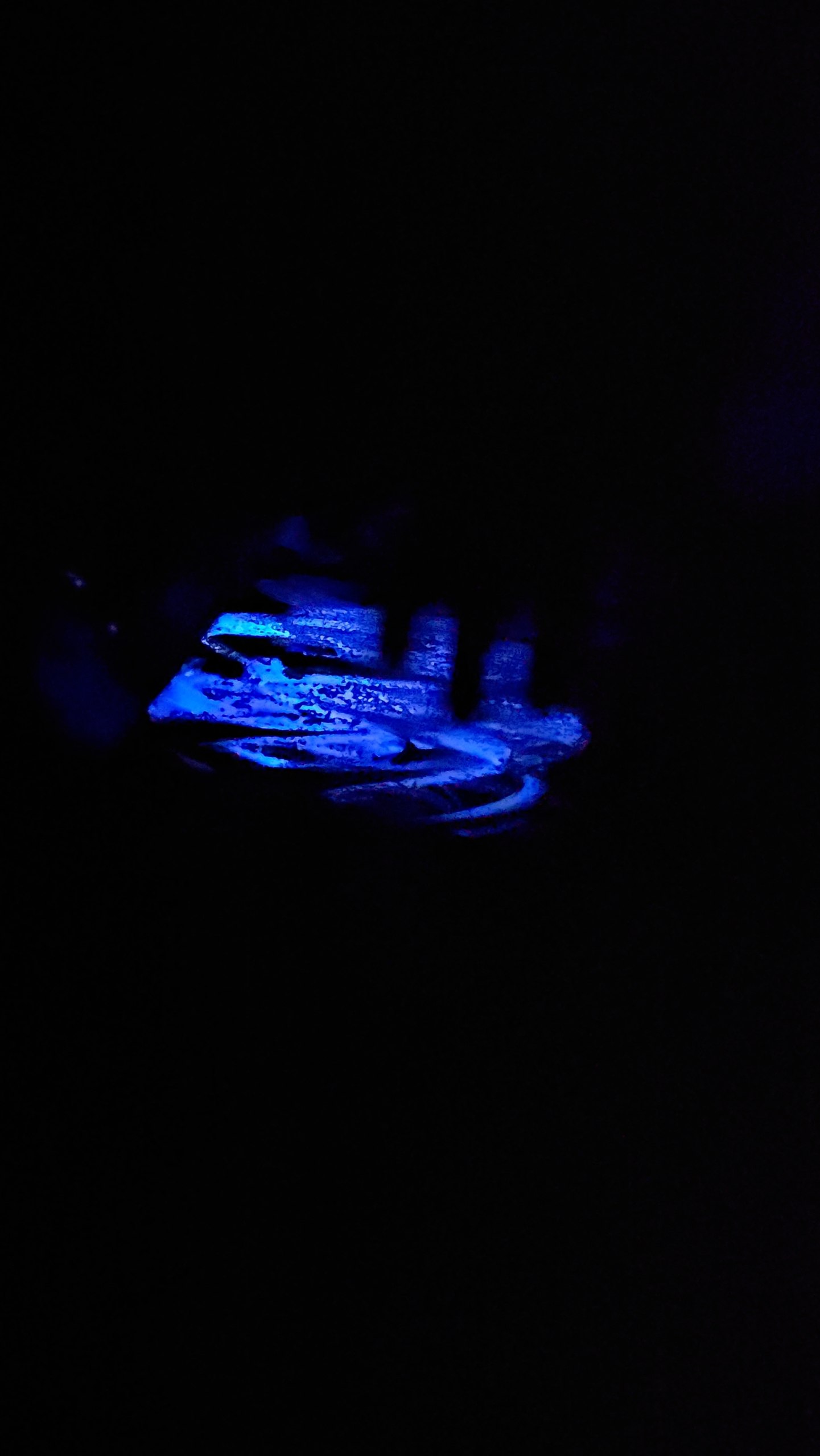 photo 2026 09 28 13 37 41